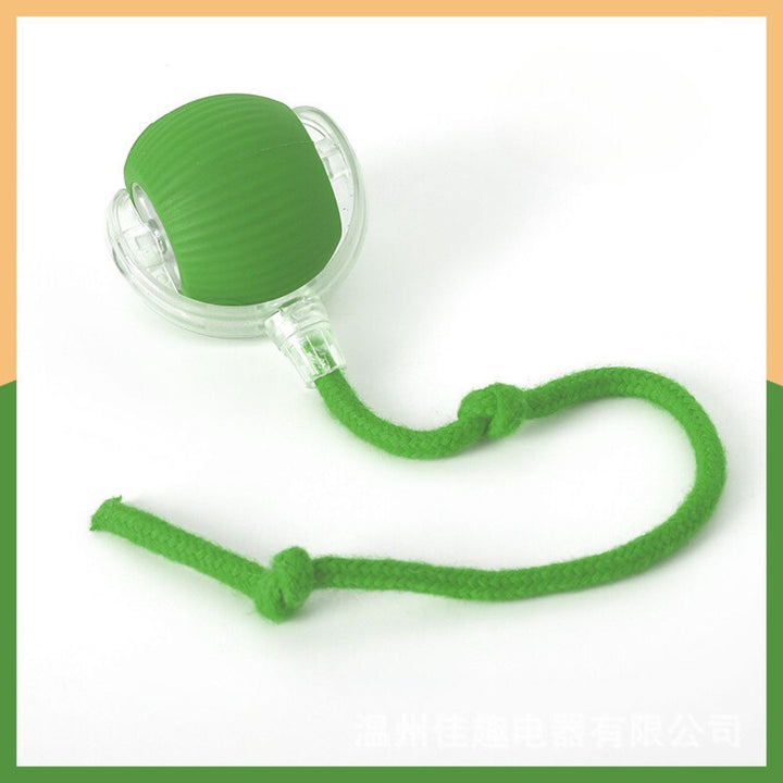 Pet supplies: interactive dog play ball with strong green tail, ideal for fetching