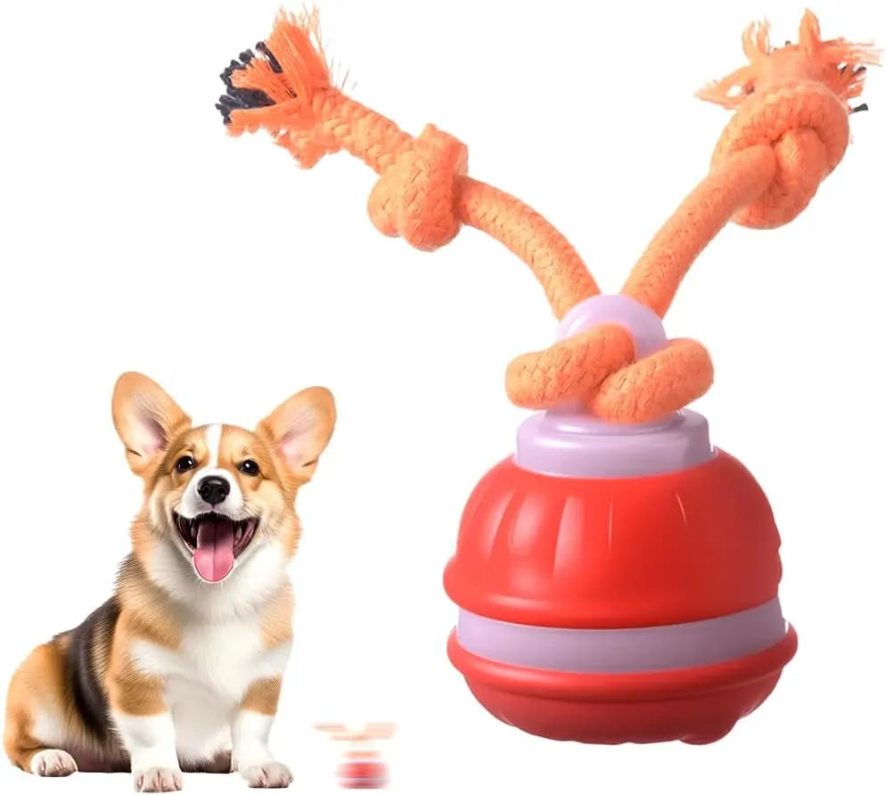 Automatic dog chew toy, a squeaky pet play ball with smart touch for exercise and interactive fun