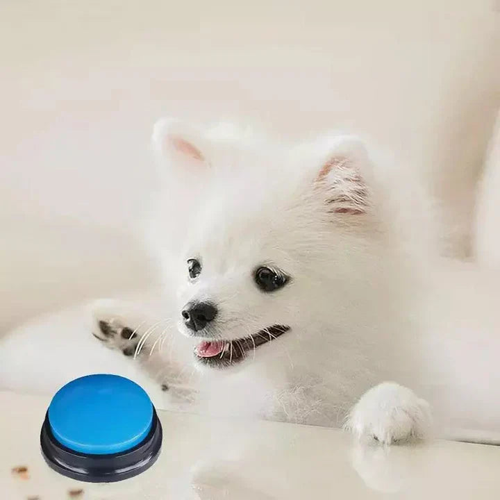 Interactive pet training button for dog communication, vocal pet supplies