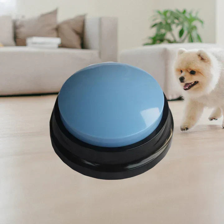 Portable interactive pet training button for easy setup, pet gadget