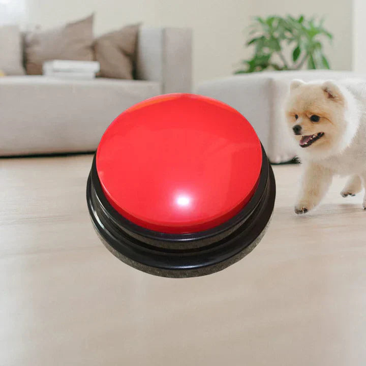Dog's paw on interactive training button, clear communication tool