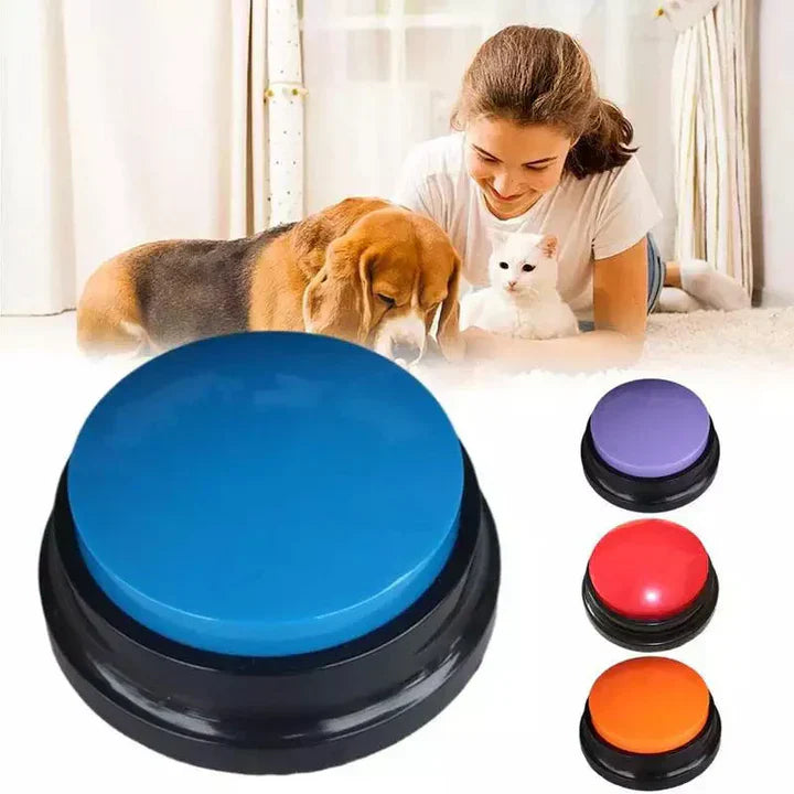 Happy dog learning with interactive pet communication buttons