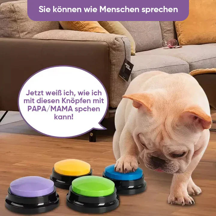 Interactive pet gadget: training button for advanced dog communication