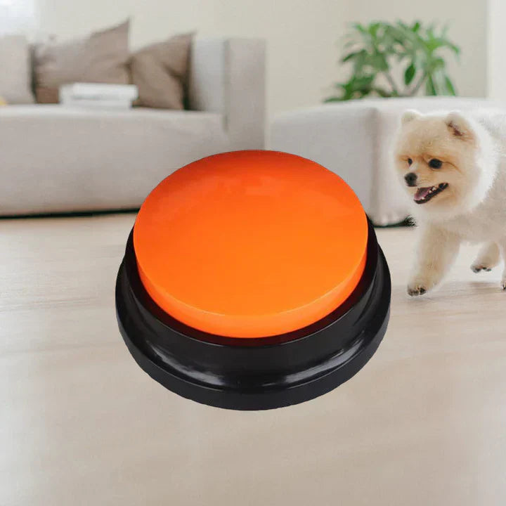 Dog pressing interactive training button to communicate needs