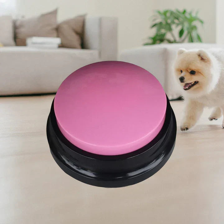 Close-up of pet training button, durable pet gadget for vocal pets