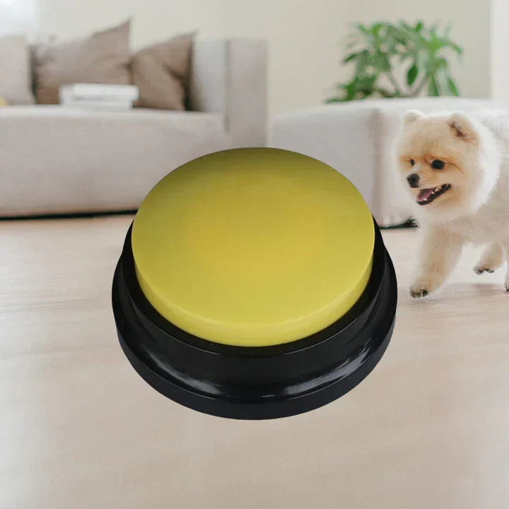 Interactive buttons helping dogs to communicate, pet training aid