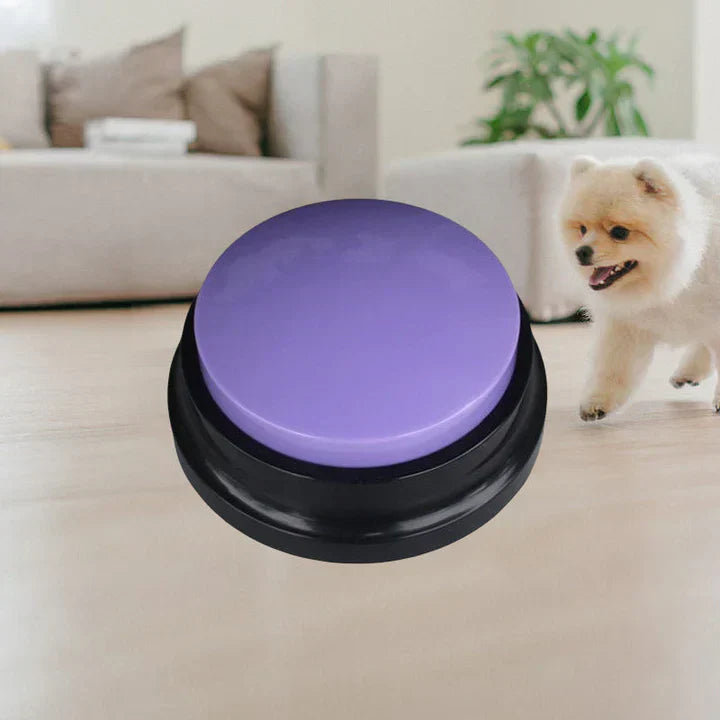 Colorful interactive pet training buttons, essential pet supplies