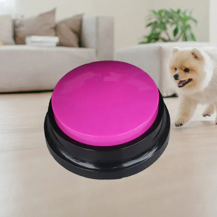 Pet owner teaching dog to use interactive training buttons