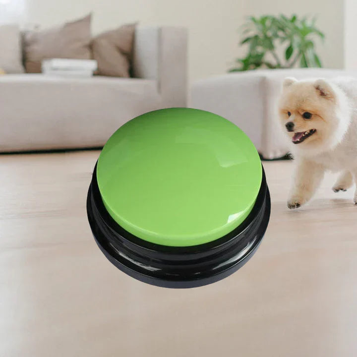 Interactive pet buttons: a fun way for dog communication and training