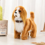 King Charles Spaniel