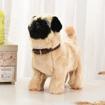 Pekingese