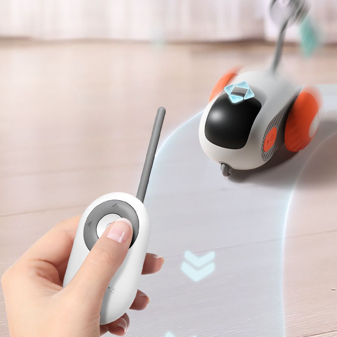 Rotating interactive remote control cat toy, white, entertaining a curious kitten on a wooden floor.