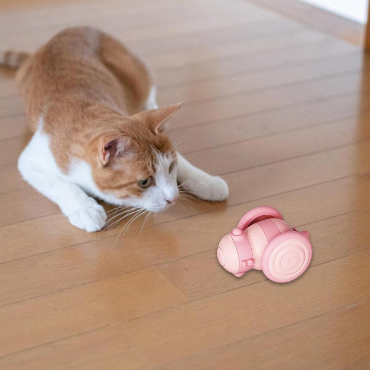 Feline enrichment toy: remote control feather and LED cat toy, providing engaging interactive playtime