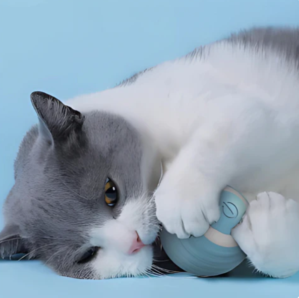 Close-up of an interactive cat ball toy featuring a soft feather tail for pets.