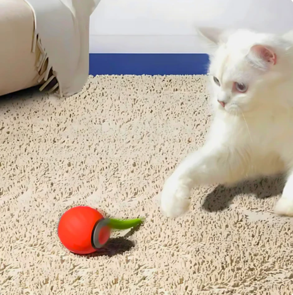 Rolling cat toy with a vibrant feather, enriching pet supplies for active cats.