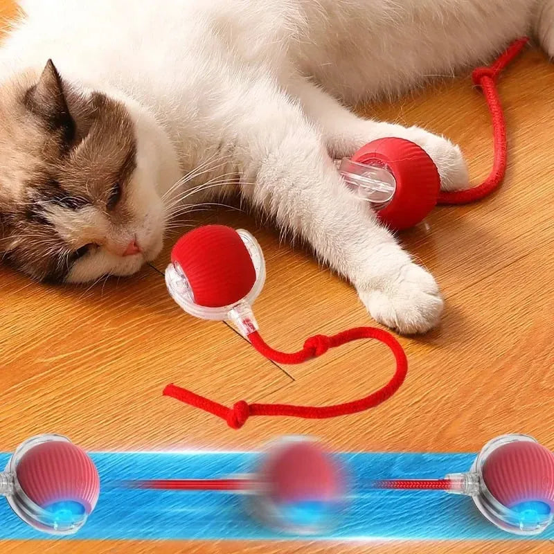 Interactive rolling pet toy with green ball, perfect for engaging cats and dogs in active play.