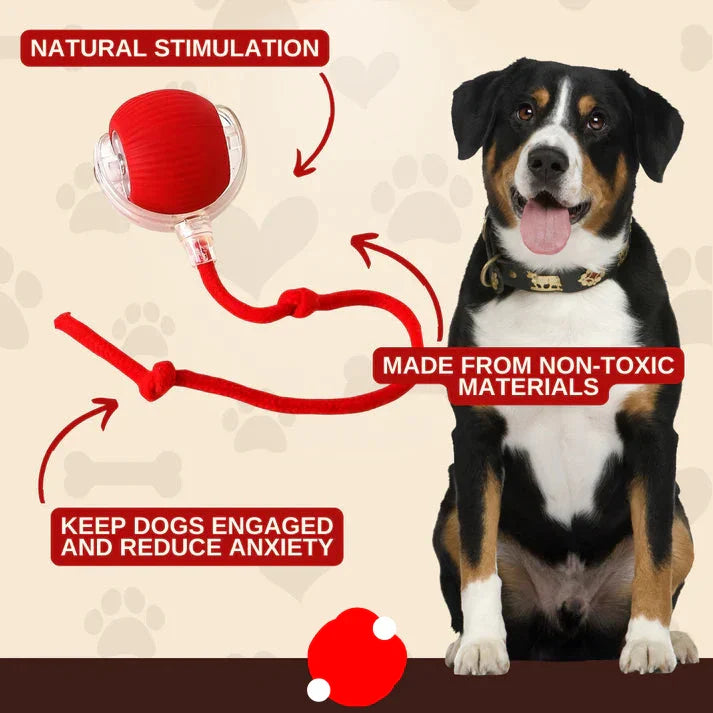Close-up of a red interactive pet ball, showing texture for improved grip and pet enrichment.