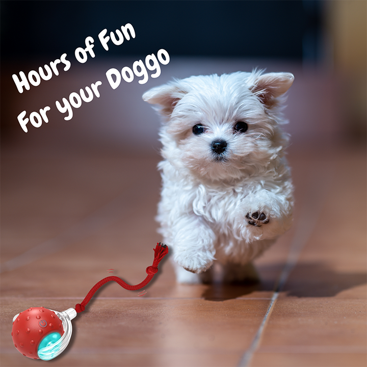 Interactive pet toy rolling across a hardwood floor, demonstrating its automatic movement.