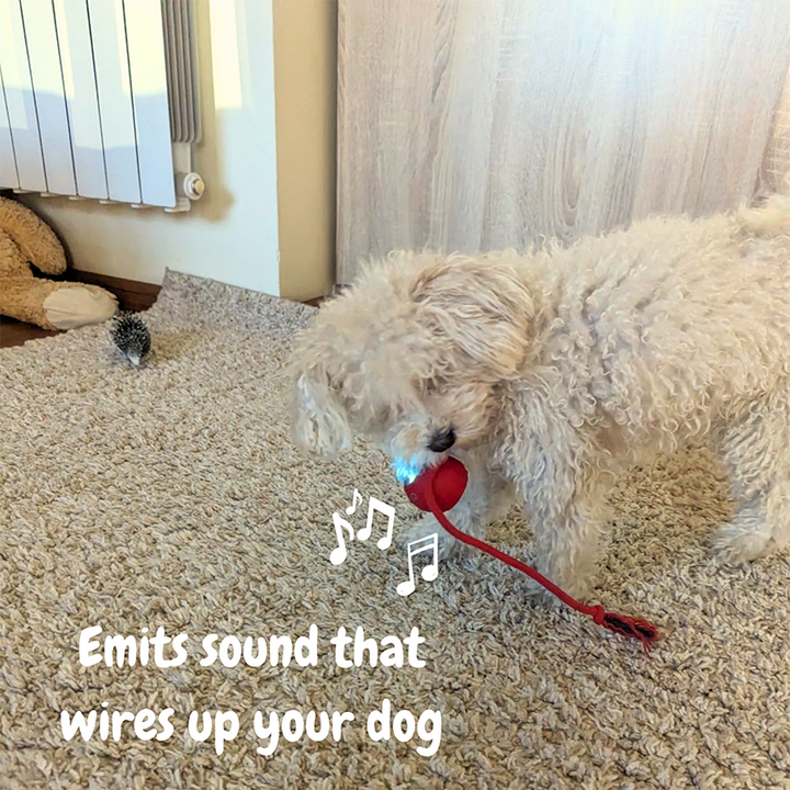 Charging an automatic interactive pet toy, emphasizing its rechargeable and durable features.