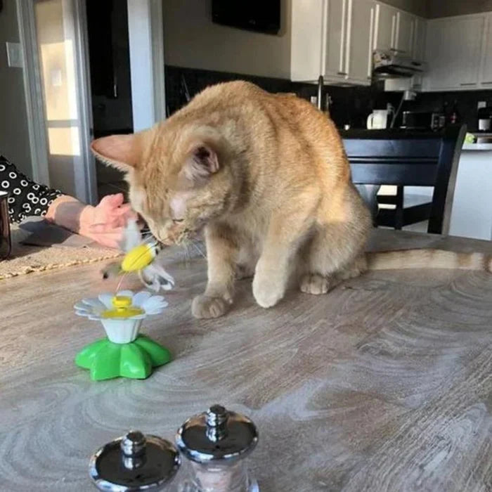 Bird-themed interactive cat toy, perfect for stimulating active play