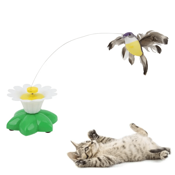 Cat enrichment toy featuring a rotating bird, ideal for indoor cats