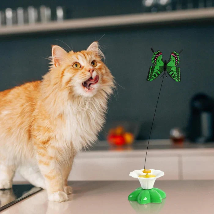 Pet supplies: interactive cat toy with a lifelike rotating bird design