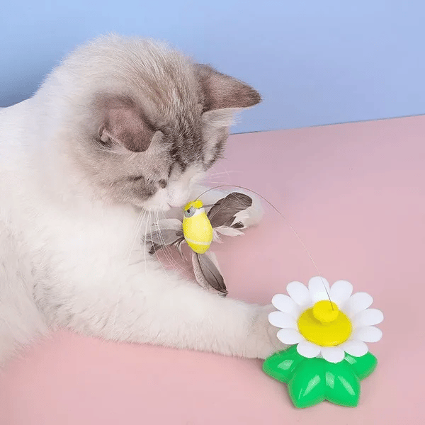 Interactive pet toy with a spinning bird, designed for endless cat play