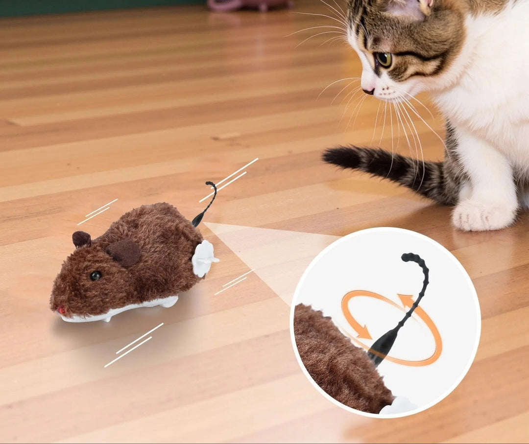 Close-up of wind-up self-driving plush mouse, an engaging cat toy