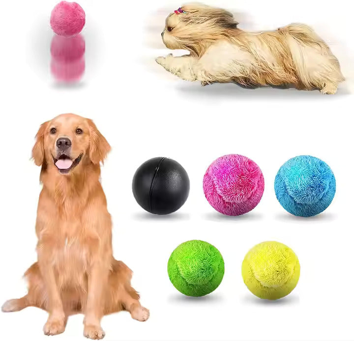 Interactive self-rolling dog toy, blue, for active play and pet enrichment, USB rechargeable