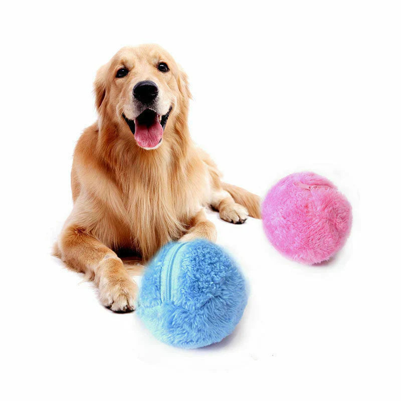 Dog playing happily with a blue interactive self-rolling toy, promoting active pet play