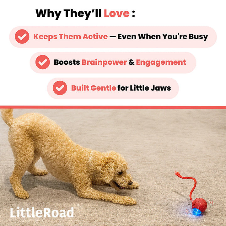 Durable interactive pet toy, perfect for cats & dogs to relieve anxiety & encourage play