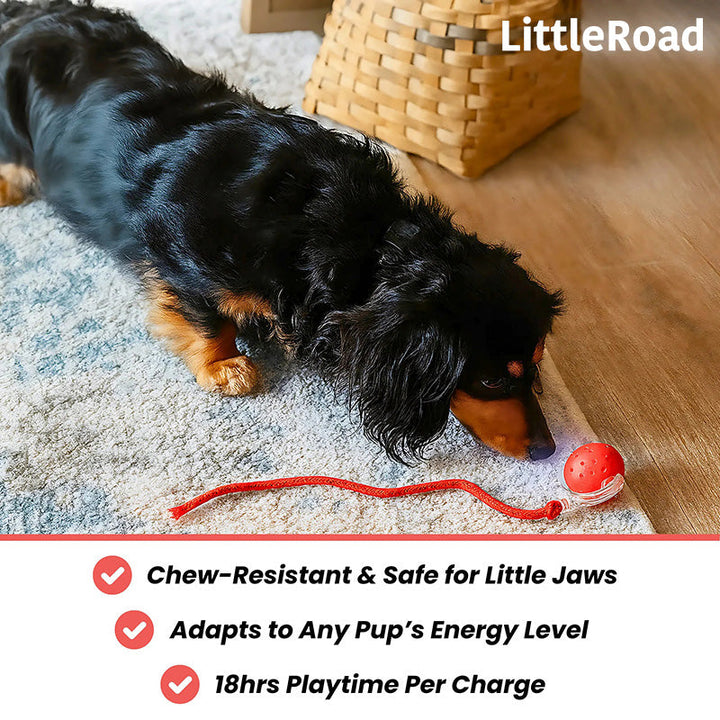 Automatic self-rolling pet toy, engaging dogs & cats in active, independent playtime