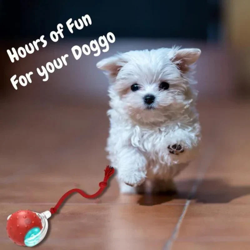Pet toy for dogs & cats, self-rolling and interactive to provide anxiety relief and fun