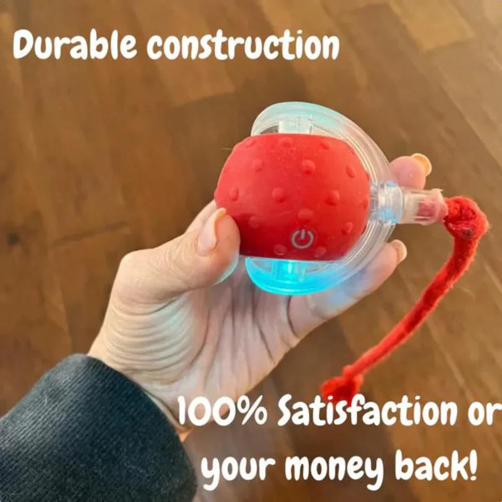 High-quality interactive self-rolling pet toy, durable for energetic dog and cat play