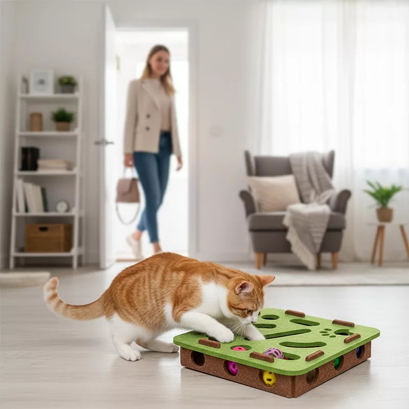 Cat scratcher puzzle box with multiple sisal surfaces, a nail file alternative for stress-free claw care.