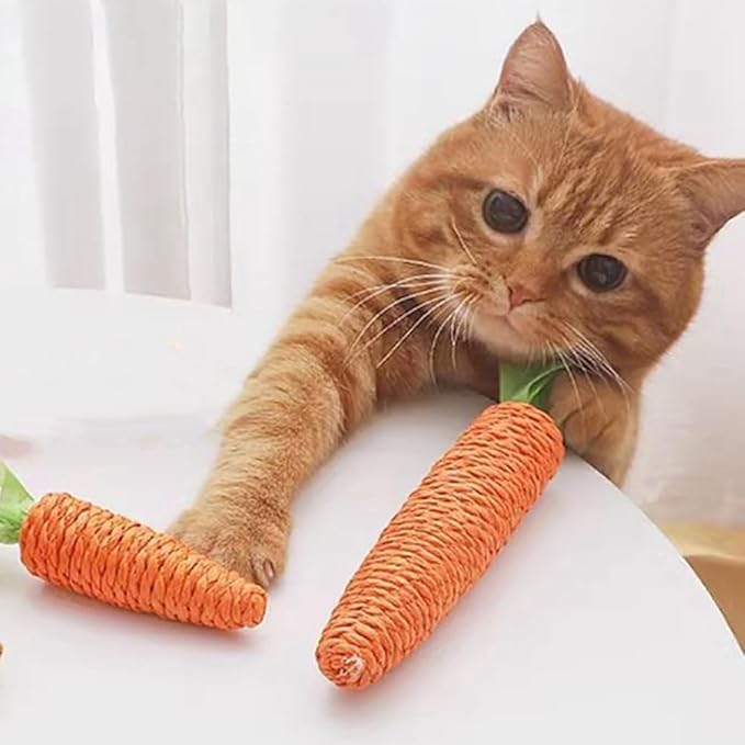 Close-up of a cat scratching a carrot-shaped sisal toy, engaging playtime