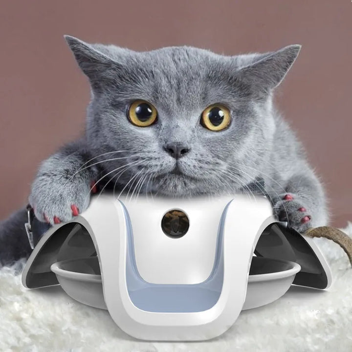 Interactive slow feeder dog bowl promoting mental stimulation and healthy eating for pets