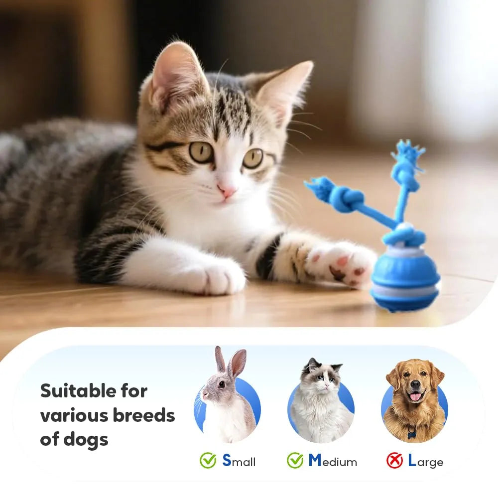 Rechargeable interactive ball, a fun pet supply for active dogs