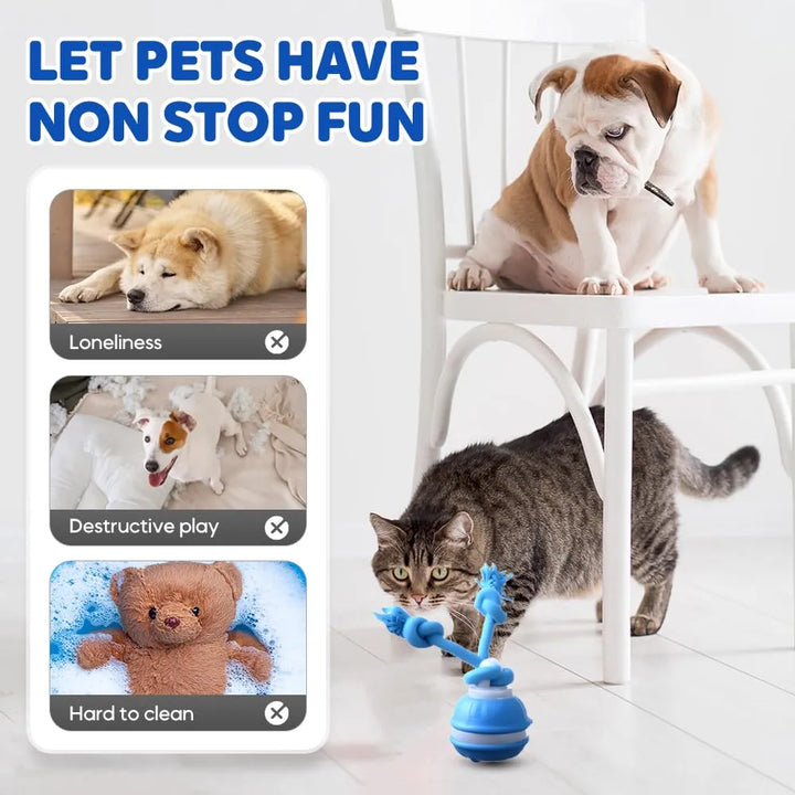 Tough chewable smart pet ball, ideal for energetic dogs