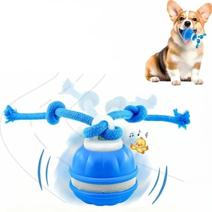 Interactive dog toy ball, automatically rolls to keep pets entertained