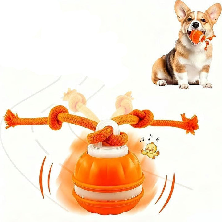 Smart pet supply rolling ball, great for mental stimulation in dogs