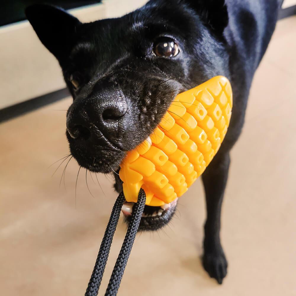 Dog toy with strong suction cup attachment and chew ball, perfect for interactive tug of war play.