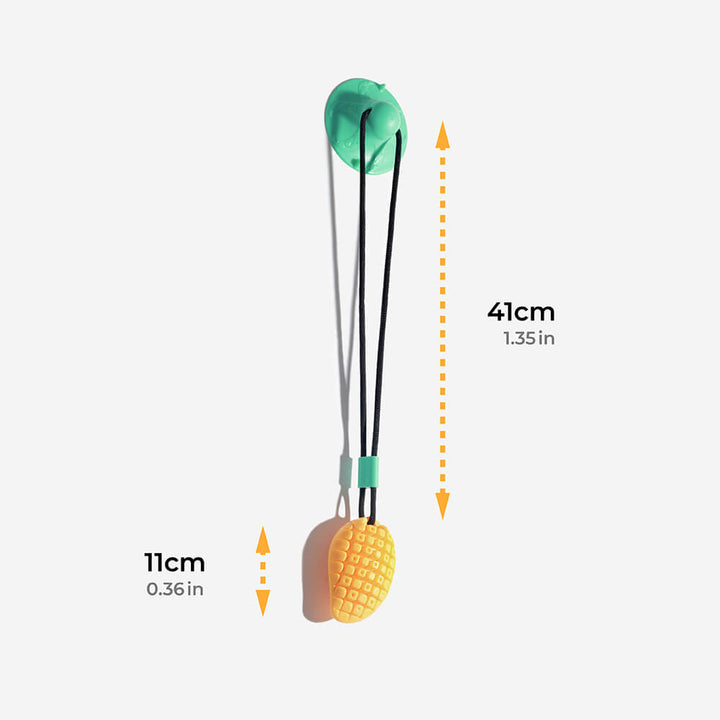 Dental dog toy: Interactive suction cup design helps clean teeth while dogs play and chew.