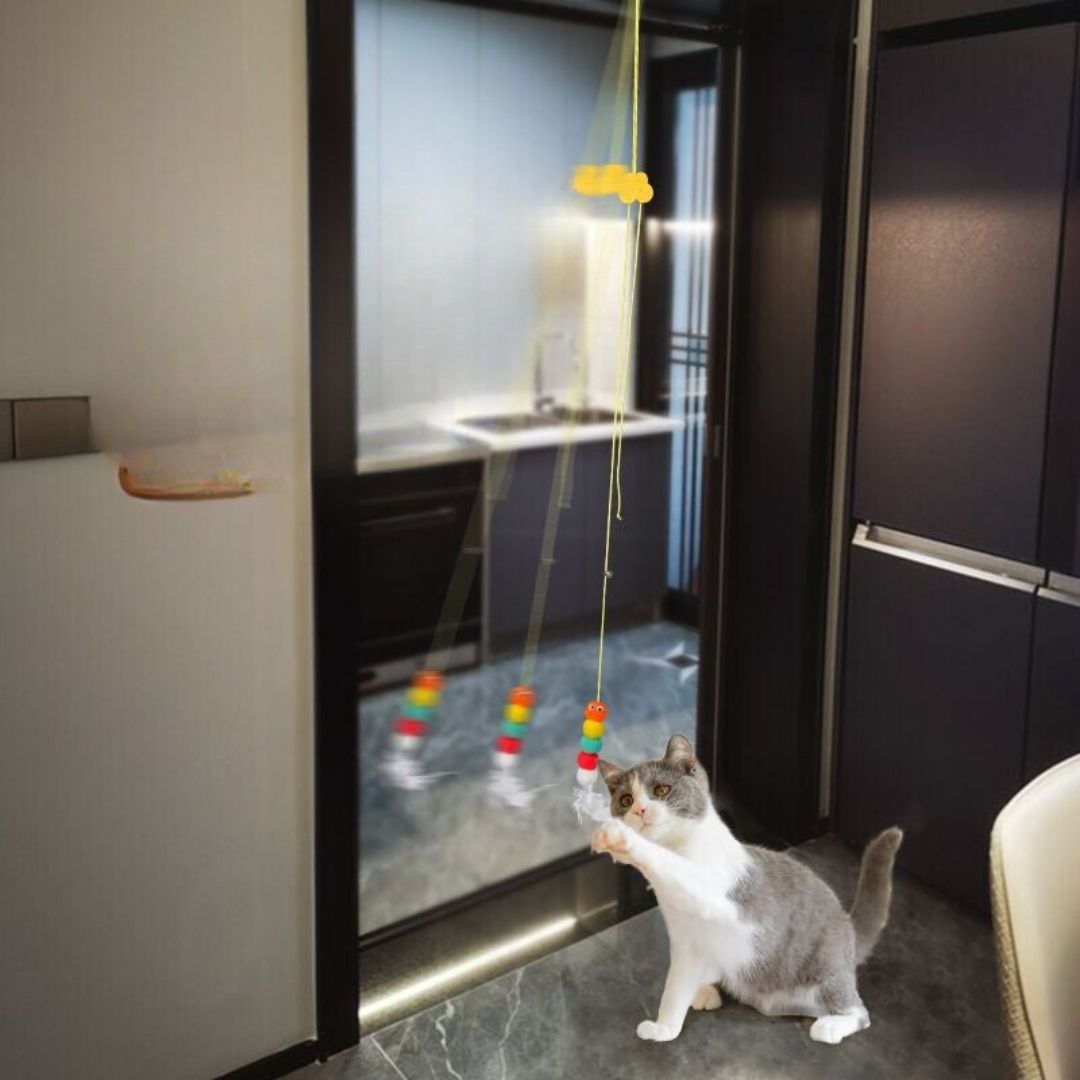 Suspended bell cat toy for interactive play, promoting feline activity and fun.