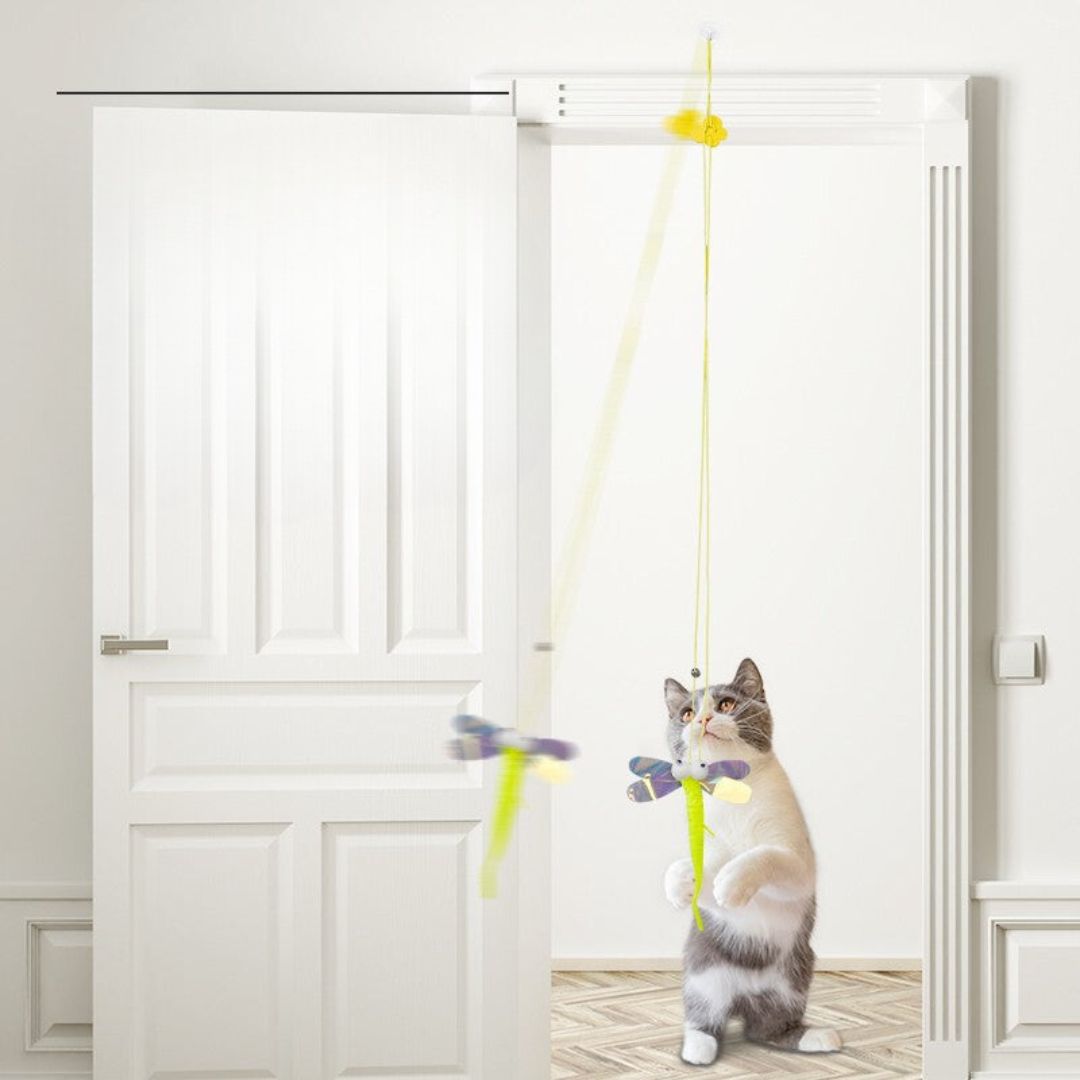 Close-up of a cat pawing at an interactive hanging toy with a small bell.