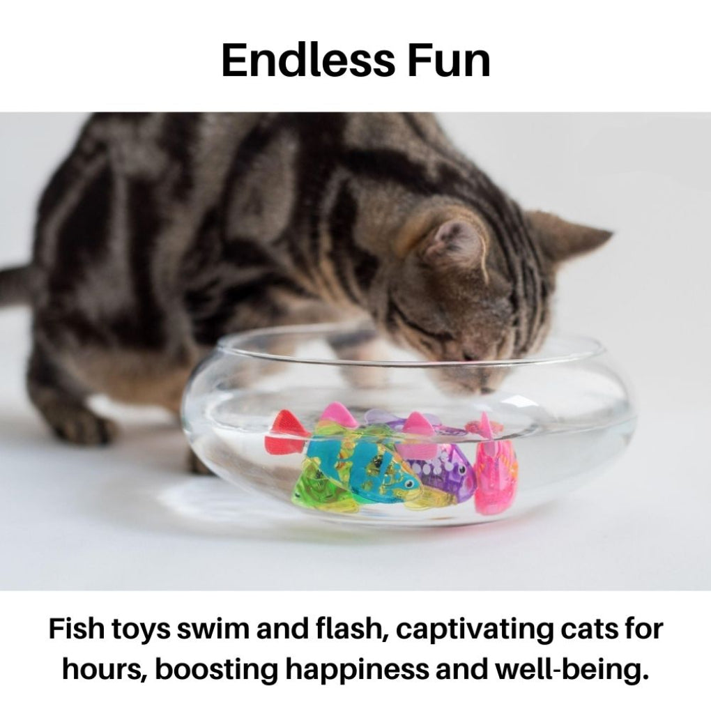 Multi-pack interactive swimming fish cat toys with LED lights, offering diverse water play & pet entertainment.