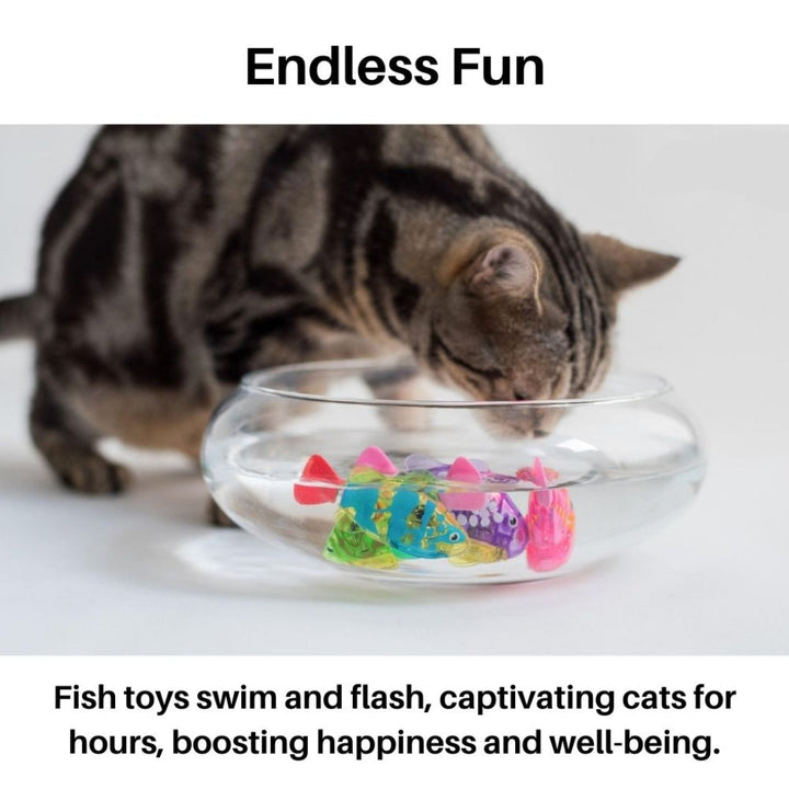 Multi-pack interactive swimming fish cat toys with LED lights, offering diverse water play & pet entertainment.