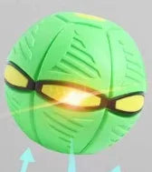 Light-up transforming disc ball dog toy glowing on the ground, attracting a dog's attention, fun for evening play
