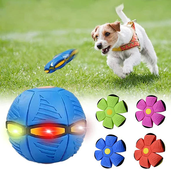 Close-up of a durable transforming disc ball dog toy, showing its disc form with glowing lights, for active pets