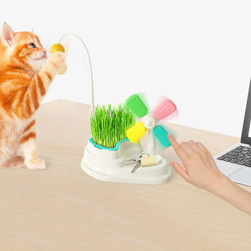 Close-up of a colorful spinning windmill cat toy, designed for feline enrichment and playtime